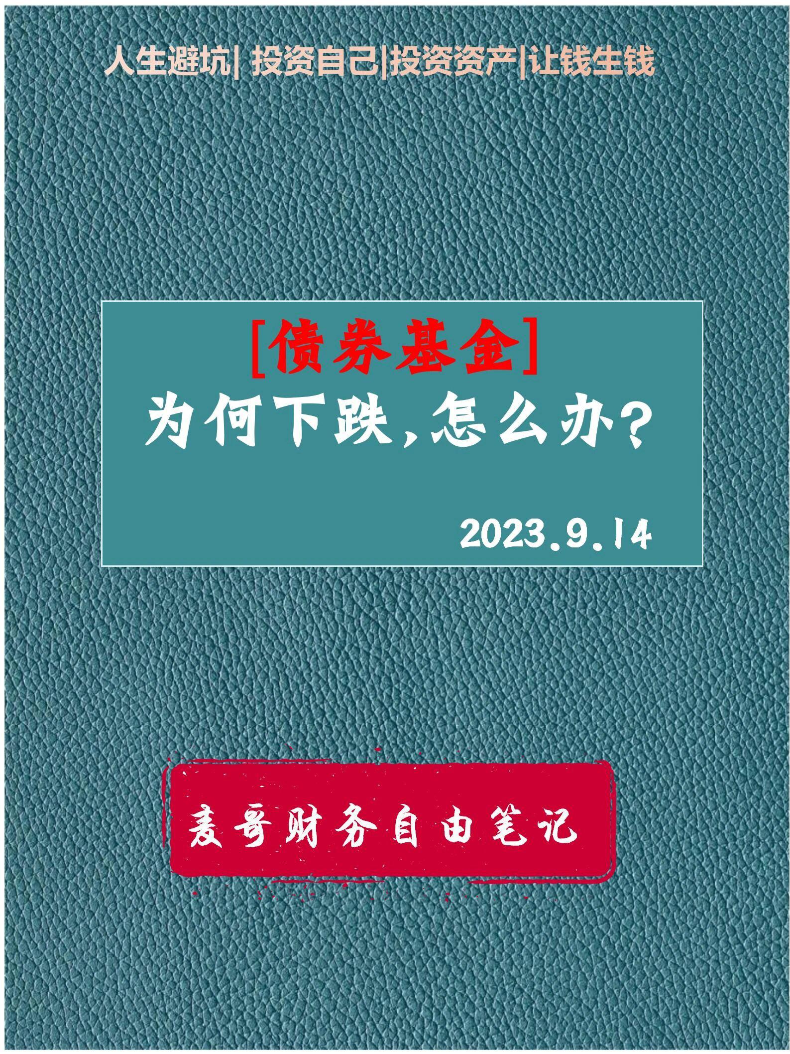 债券型基金火了!超98%取得正收益 2025债牛还能延续吗?