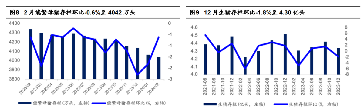 （2025年1月6日）今日生猪期货最新价格查询