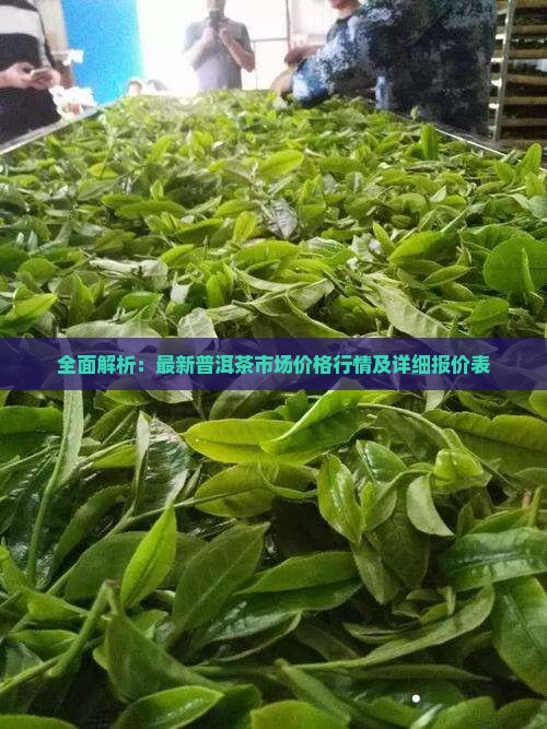 2025年1月6日玉米淀粉价格行情最新价格查询