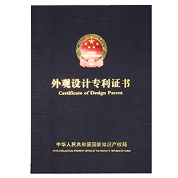 登康口腔获得外观设计专利授权：“牙科洁治器标贴（儿童型）”