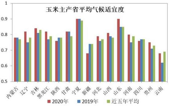（2025年1月7日）今日玉米期货和美玉米最新价格查询