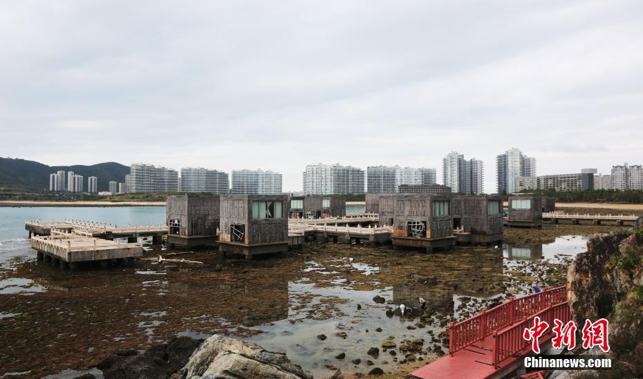 因未批先建 大西洋控股子公司被行政处罚