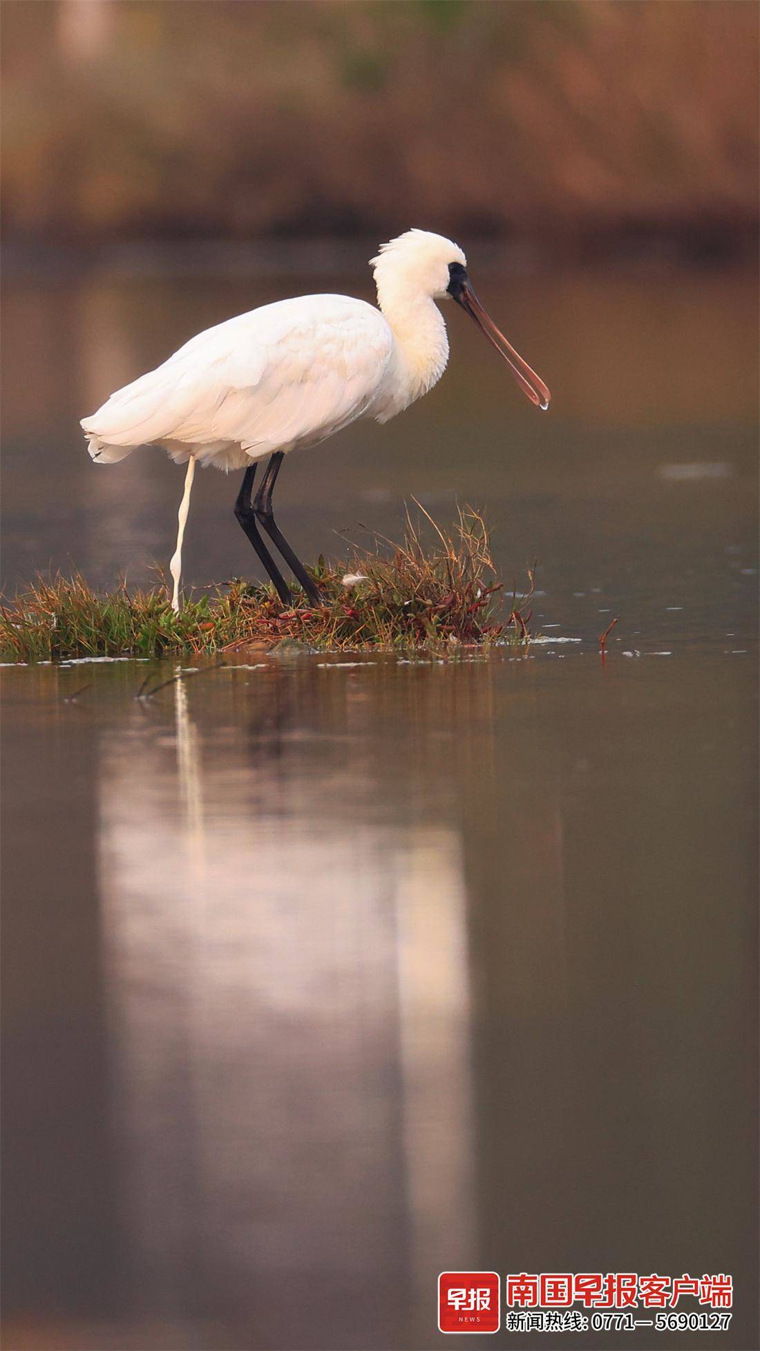 立方风控鸟·早报（1月9日）