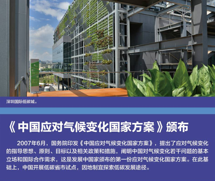 国家气候变化观察站担心喀麦隆五月会出现健康危机