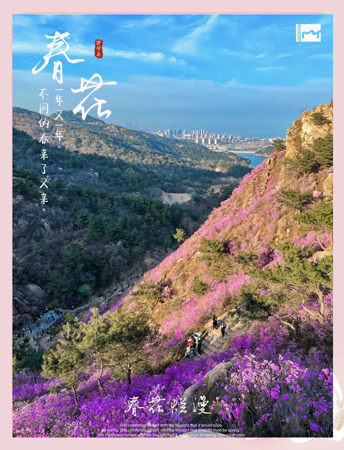 赏花正当时 宝天曼第二届杜鹃花文化旅游季盛大启幕
