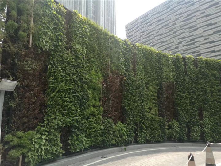 金埔园林获得发明专利授权：“一种组合式植物墙”