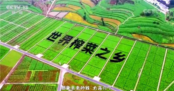 涪陵榨菜：未来仍将根据实际情况为股东提供长期稳定提升的分红回报