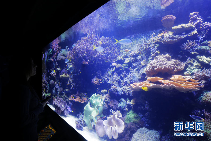义翘神州：美国生物工程中心位于德克萨斯州休斯顿是公司在美国建立的第一个研发生产中心