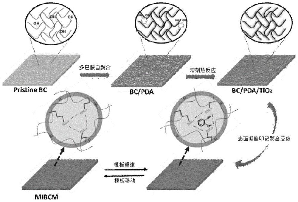 建工修复获得发明专利授权：“一种纤维素包膜缓释氧化剂及其制备方法”