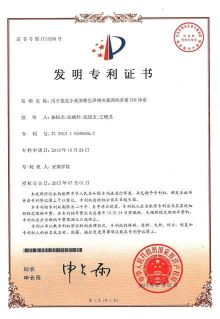 天地科技获得发明专利授权：“提高块煤率的方法”