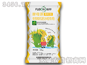 安琪酵母披露总额2亿元的对外担保，被担保方为安琪酵母（宜昌高新区）有限公司