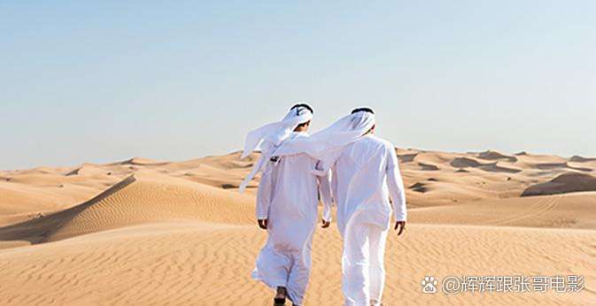 阿联酋发布新税收指引，助力企业合规化经营