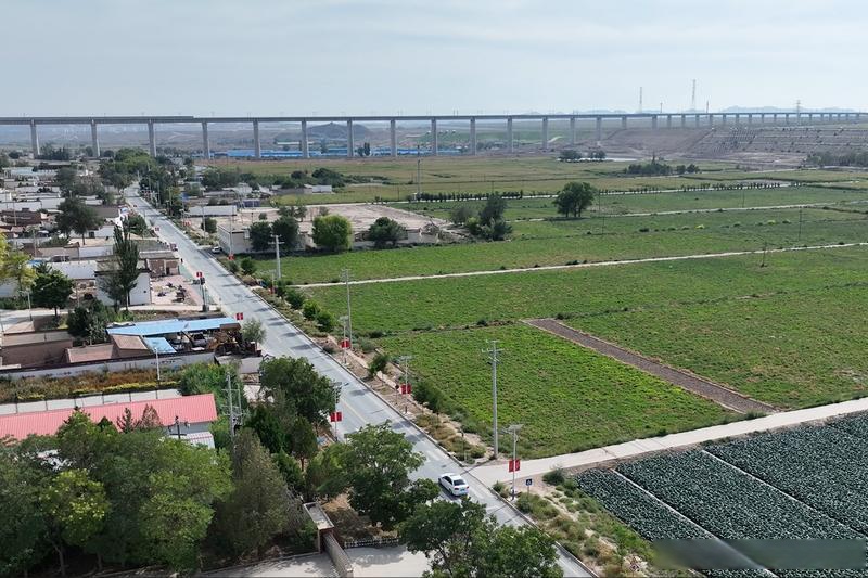 北京大兴瀛海镇“瀛”麦相承小麦丰收开镰 奏响农文旅融合新乐章