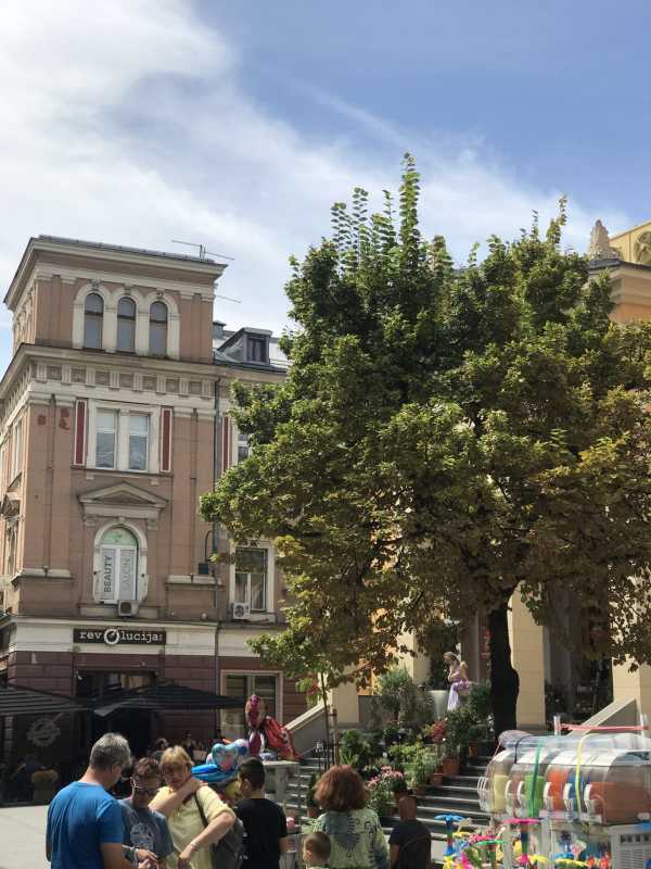 波黑联邦周日歇业政策实施近一年“有人欢喜有人忧”