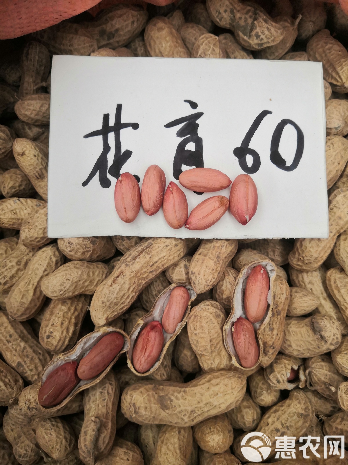 手术室中的“花生米”实为医疗耗材 现存相关企业超7300家