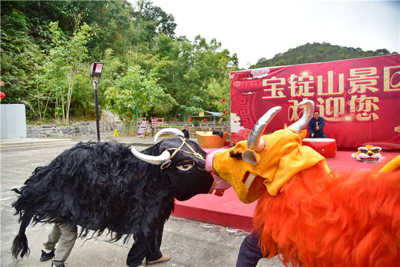 罗 牛 山：联合参展是市场化行为