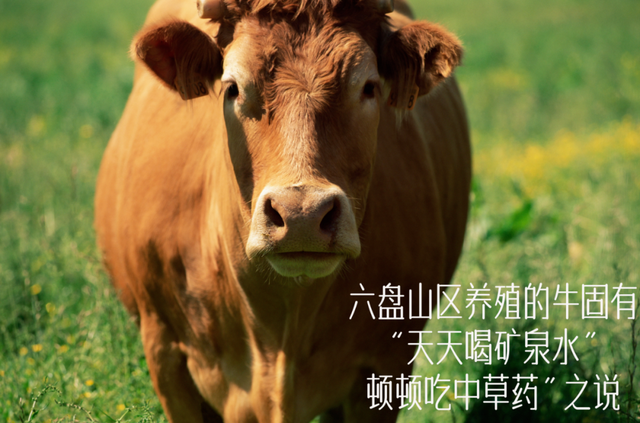 罗 牛 山：联合参展是市场化行为