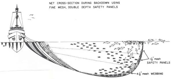 美国首次认可印度出口的海产品符合美国《海洋哺乳动物保护法》标准