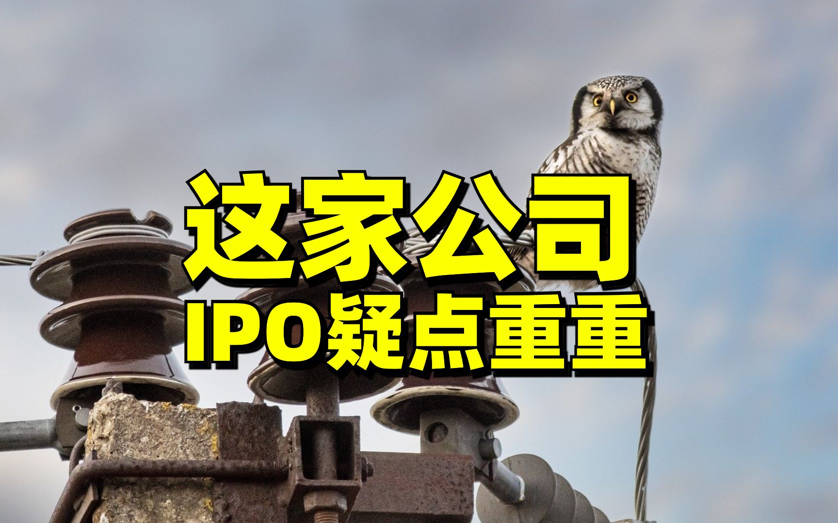 尚太科技：本次可转债设置有条件回售及附加回售条款以保护投资者权益