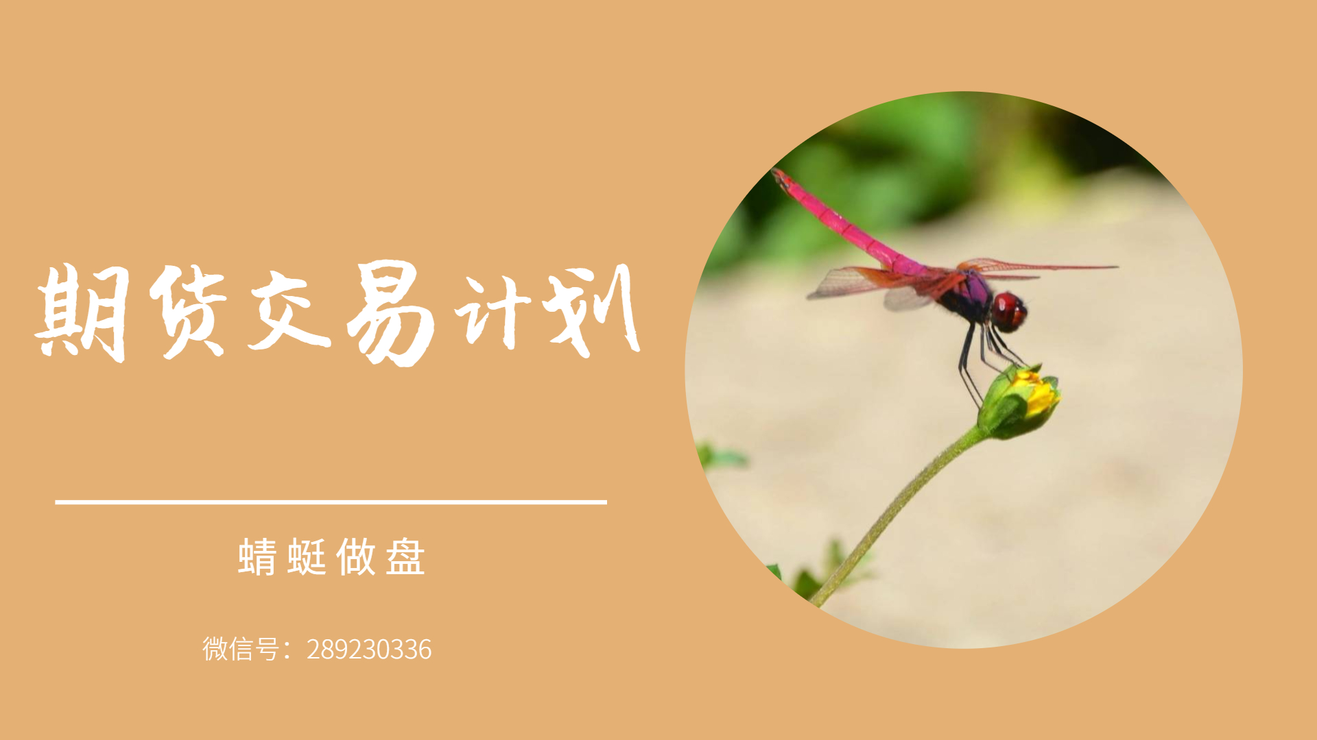 上期所：将调整铜等期货新上市合约交易保证金比例和涨跌停板幅度