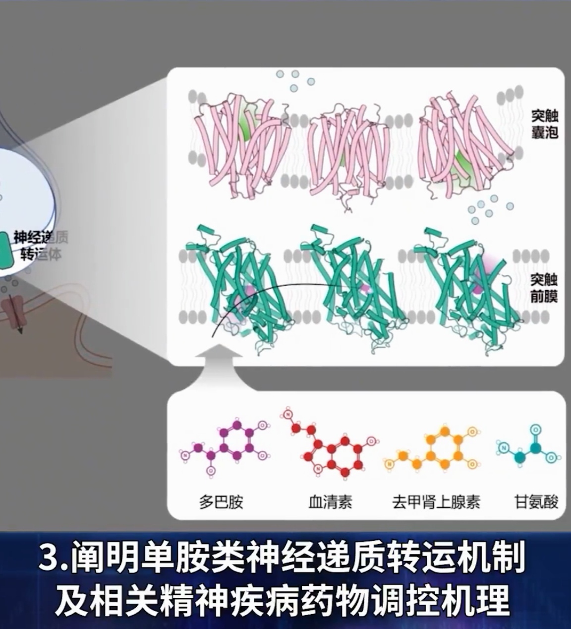 中国空间站第十批科学实验样品顺利返回并交付科学家
